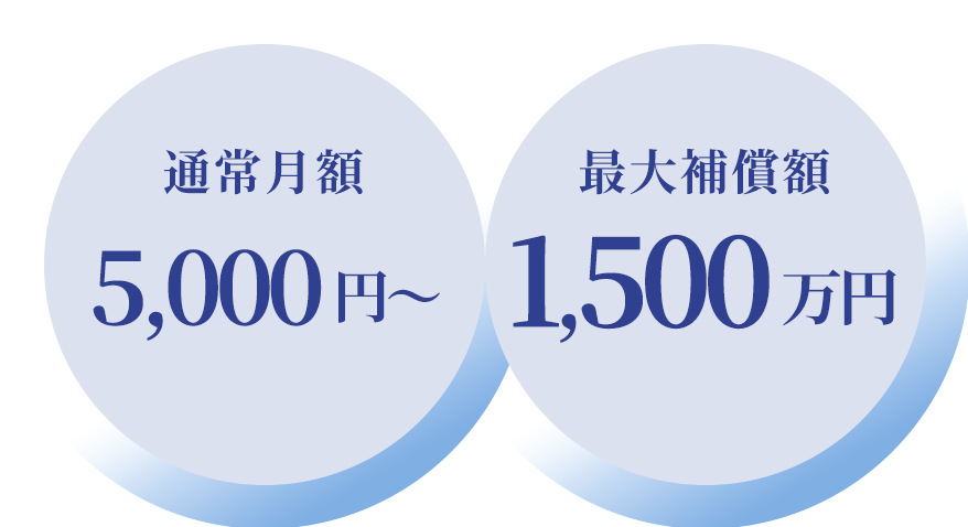 通常月額5,000～